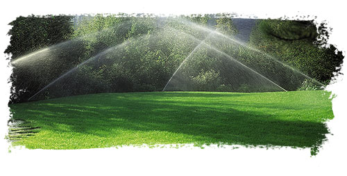 Image: Irrigation